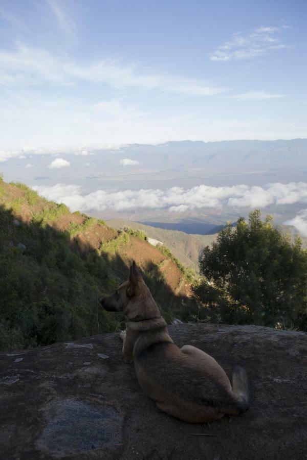 Ndungu Mambo View Point 빌라 외부 사진